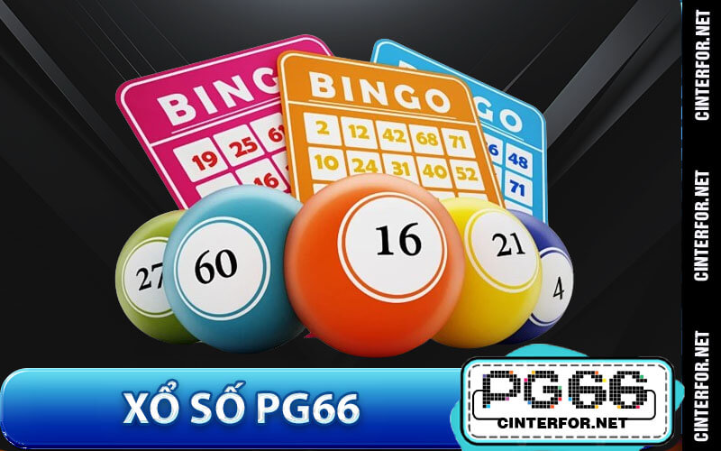 Xổ số PG66 – Dự Đoán Số May Mắn Với Chiến Lược Thông Minh - crown88