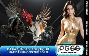 Tin Tức - pg66.com - crown88