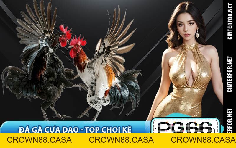 PG66 【PG66.COM】 | Cổng Vào Đăng Ký Chính Thức Tặng 88K - crown88